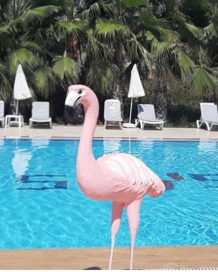 Skys Beach Hotel Manavgat Esterno foto